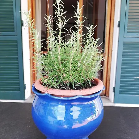 Σπίτι διακοπών Fg Apartment, Mare E Monti, 70 Sqm, 2 Bedrooms, 1 Bathroom, Surrounded By Greenery, With Free Parking And Wifi Conveniently Located Near The Highway *