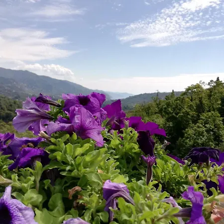 Holiday home Fg Apartment, Mare E Monti, 70 Sqm, 2 Bedrooms, 1 Bathroom, Surrounded By Greenery, With Free Parking And Wifi Conveniently Located Near The Highway Rapallo